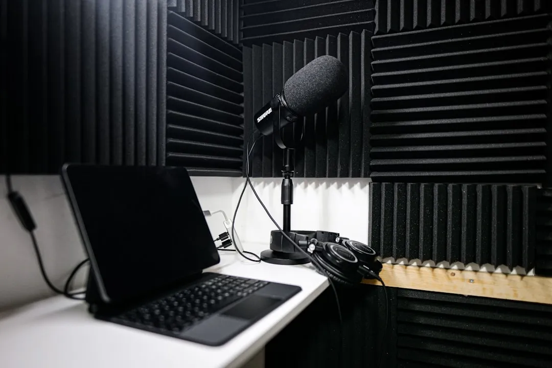 Podcasts: Die neue Welle des Rundfunks